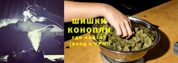 прущие грибы Алексин
