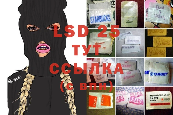 прущие грибы Алексин
