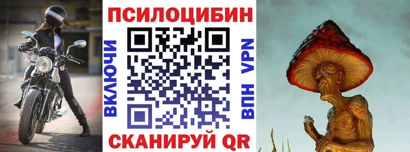 Псилоцибиновые грибы MAGIC MUSHROOMS  ОМГ ОМГ зеркало  Рыбное  закладка 