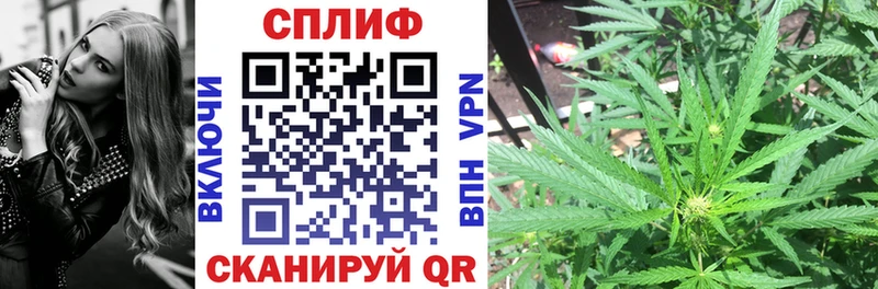 Каннабис план  блэк спрут рабочий сайт  Рыбное 